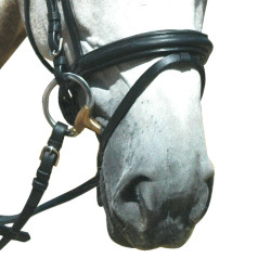 Bridon Pull Back Le Touquet Privilege Equitazione