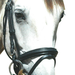 Bridon Pull Back Le Touquet Privilege Equitazione