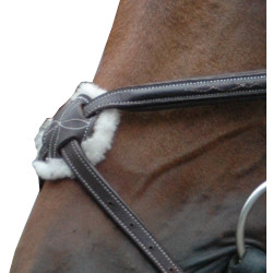 Briglia Royan Incrociata Privilege Equitazione