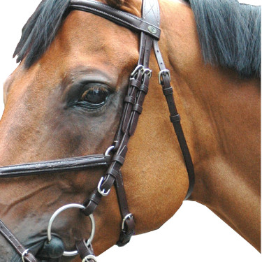 Briglia Royan Incrociata Privilege Equitazione