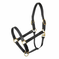 Cavezza NT Stübben in cuoio foderato Ottone nero