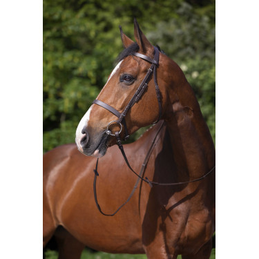 Briglia Riding World Capezzina francese Briglia Riding World Capezzina francese