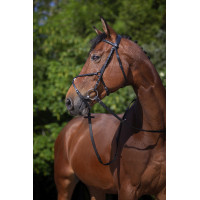 Briglia Riding World Capezzina incrociata Nero