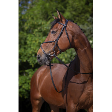 Briglia Riding World Capezzina incrociata Nero