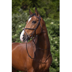 Briglia Riding World Capezzina incrociata Briglia Riding World Capezzina incrociata