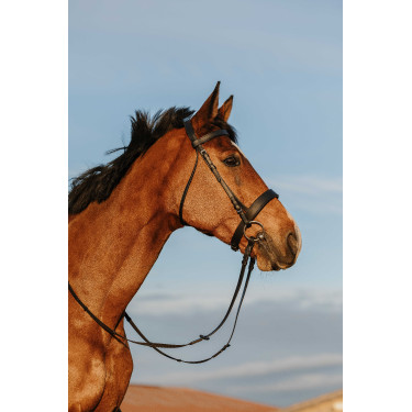 Briglia Riding World Capezzina larga