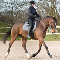 Campanelle Lock On Horze Campanelle Lock On Horze