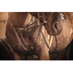 Redini Pénélope Howlett in cuoio Nero