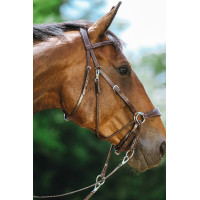 Bridon Bitless Norton Avana Marrone Bridon Bitless Norton Avana Marrone