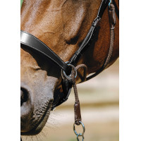 Bridon Bitless Norton Avana Marrone