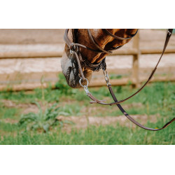 Bridon Bitless Norton Avana Marrone