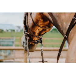 Bridon Bitless Norton Avana Marrone