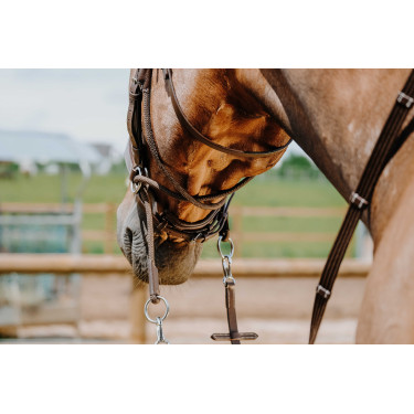 Bridon Bitless Norton Avana Marrone