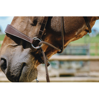 Bridon Bitless Norton Avana Marrone