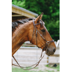 Bridon Bitless Norton Avana Marrone