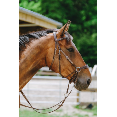 Bridon Bitless Norton Avana Marrone