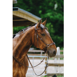 Bridon Bitless Norton Avana Marrone