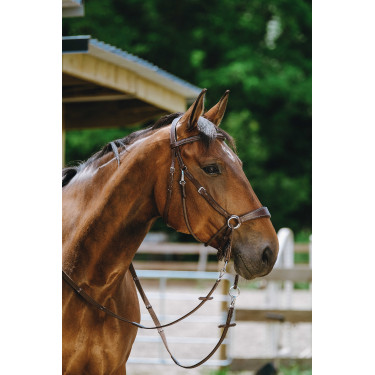 Bridon Bitless Norton Avana Marrone