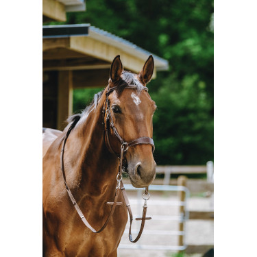 Bridon Bitless Norton Avana Marrone