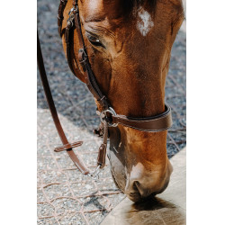 Bridon Bitless Norton Avana Marrone