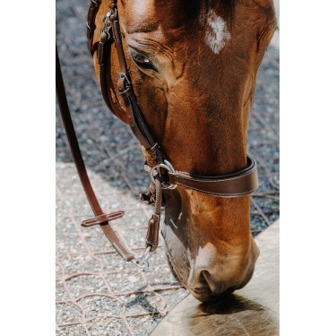 Bridon Bitless Norton Avana Marrone