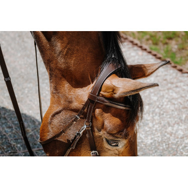 Bridon Bitless Norton Avana Marrone