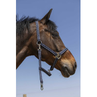 Capezzina Norton Grooming Blu navy Capezzina Norton Grooming Blu navy