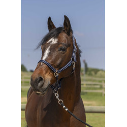 Capezzina Norton Grooming Blu navy Capezzina Norton Grooming Blu navy