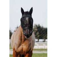 Capezza + maschera Equithème