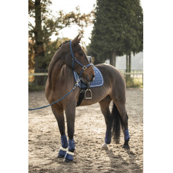 Stinchiere Lami-Cell LC Blu atollo