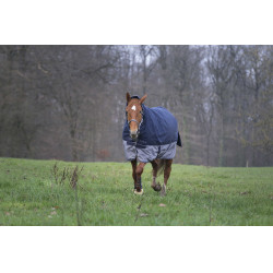 Coperta Equithème Tyrex 600D Combo 350g Coperta Equithème Tyrex 600D Combo 350g