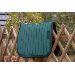 Tappeti Verticali Paddock Sports Verde scuro / nero