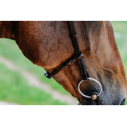 Bridon Freedom Norton Avana Marrone