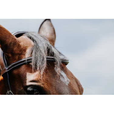 Bridon Freedom Norton Avana Marrone