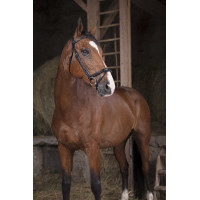 Bridon Norton Pro Fin Nero