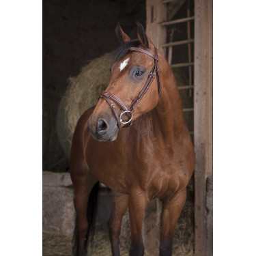 Bridon Norton Pro Fin Bridon Norton Pro Fin