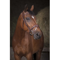 Bridon Norton Pro Wave Nero Bridon Norton Pro Wave Nero