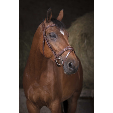 Bridon Norton Pro Wave Avana Marrone