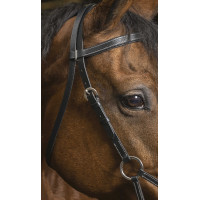 Side-pull Norton Pro Comfort Nero