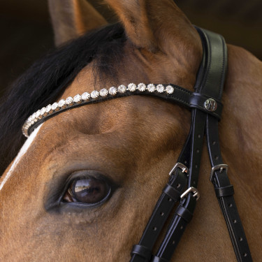 Bridon Norton Pro Bella Nero