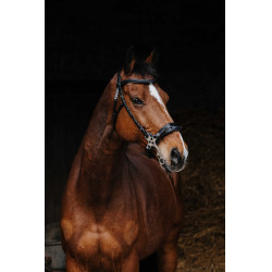 Bridon Norton Pro Hackamore Nero Bridon Norton Pro Hackamore Nero