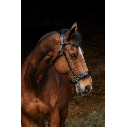Bridon Norton Pro Hackamore Nero Bridon Norton Pro Hackamore Nero