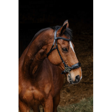Bridon Norton Pro Hackamore Nero Bridon Norton Pro Hackamore Nero