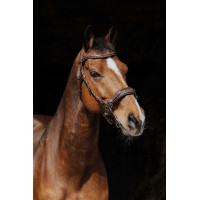 Bridon Norton Pro Hackamore