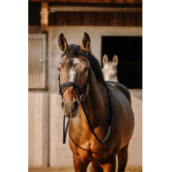 Bridon Eric Thomas Work Nero