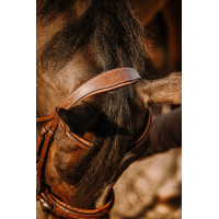 Bridon Eric Thomas Work Avana Marrone