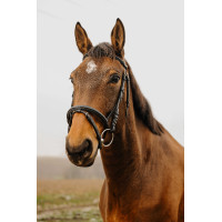 Bridon Norton Club Square Nero