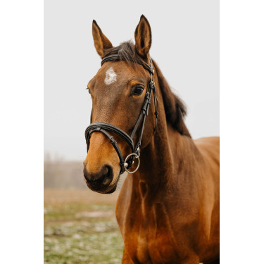 Bridon Norton Club Easy Nero