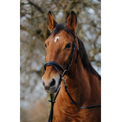 Addestramento Bridon Norton Nero