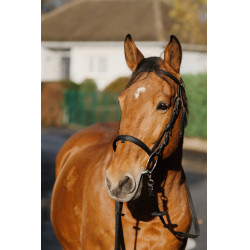 Addestramento Bridon Norton Nero